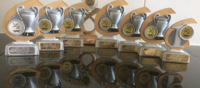 Succes springers Pro Patria bij Regionale Springwedstrijden