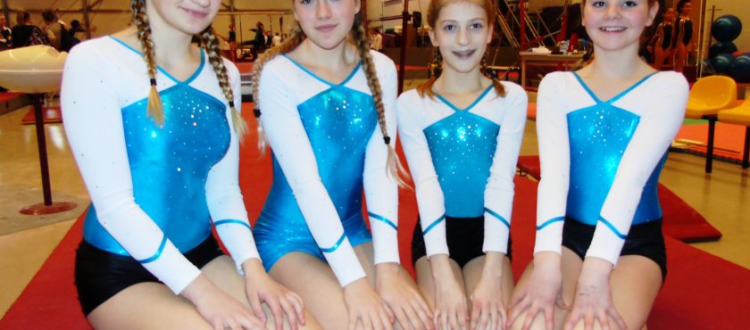Rayonwedstrijd voor de jeugd-2, junior en senior turnsters uit de 4e divisie
