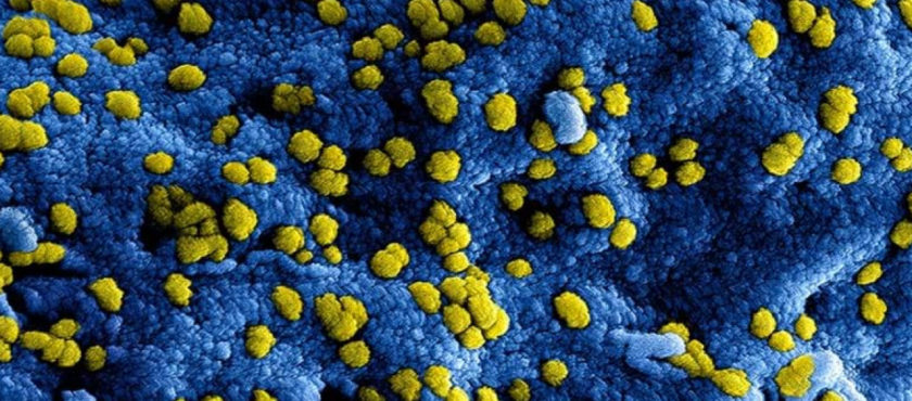 Nieuws betreffende verlenging noodmaatregelen